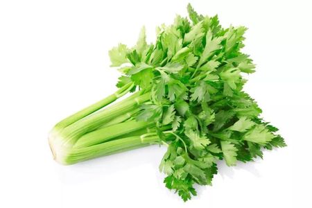 芹菜.jpeg